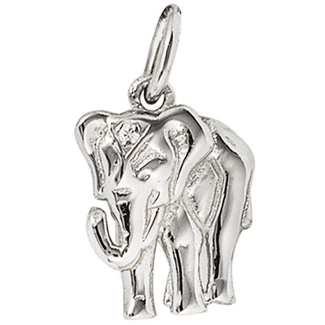 Anhänger Elefant 585 Gold Weißgold 1 Diamant Brillant Weißgoldanhänger Unkategorisiert online kaufen