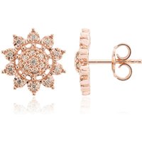 Annette 925er Silberohrringe rosévergoldet mit 34 I1 Argyle-Rose de France-Brillanten, 0,218 ct Unkategorisiert online kaufen