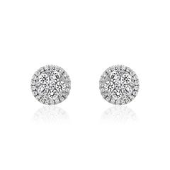 Brilladia Damen-Ohrstecker mit 64 Brillanten, 0,63 ct TW/SI – Weißgold oder Platin Unkategorisiert online kaufen