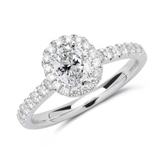 Halo Ring 585er Weißgold mit Brillanten Unkategorisiert online kaufen