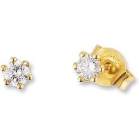 Ohrschmuck von Palido F1313G Unkategorisiert online kaufen