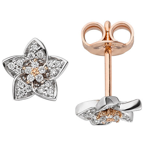 Ohrstecker Blume 585 Gold Rotgold Weißgold bicolor 40 Diamanten Brillanten Unkategorisiert online kaufen